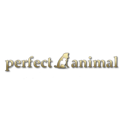 Perfect Animal